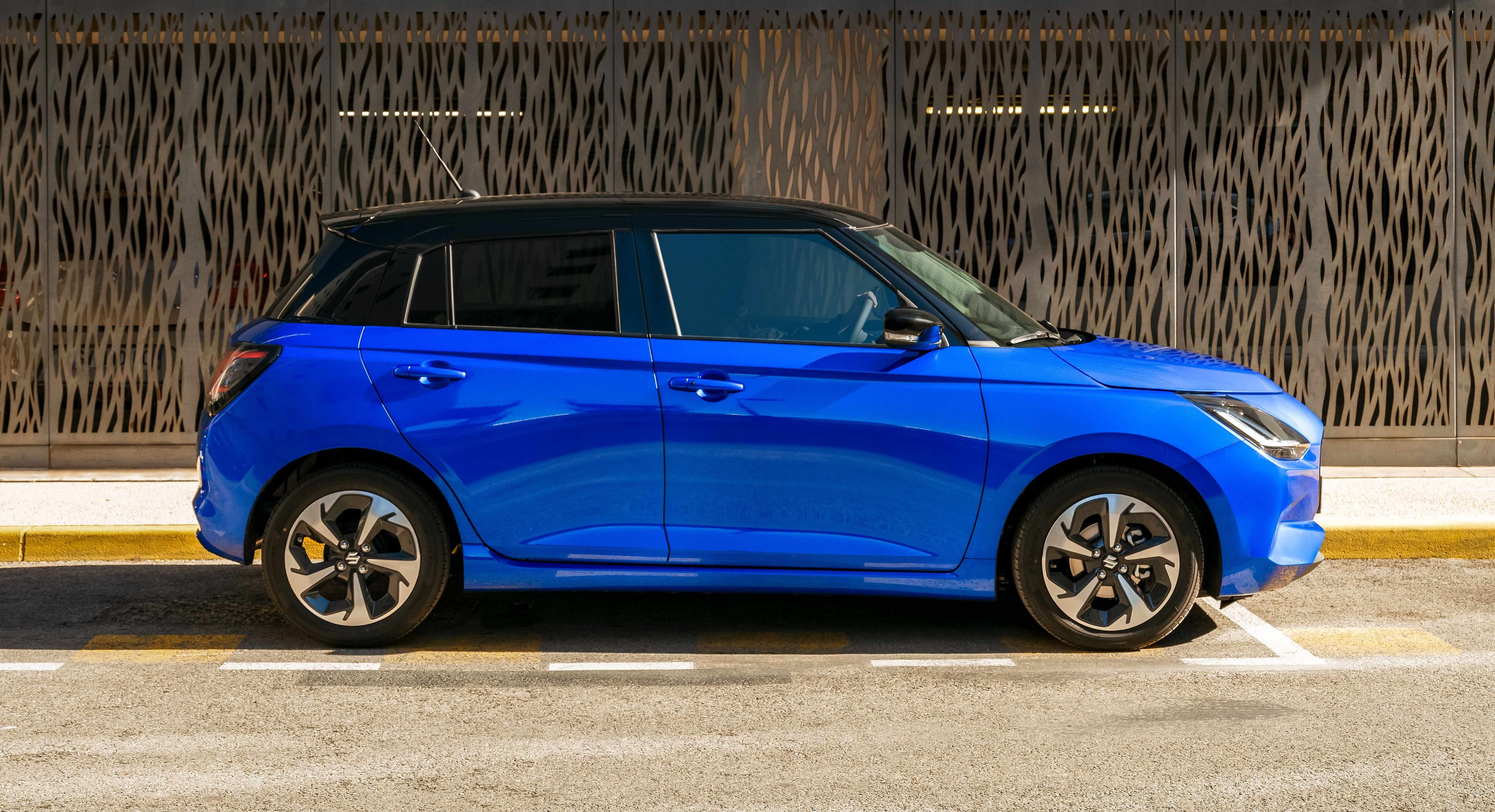 Blauer Swift in der Seitenansicht