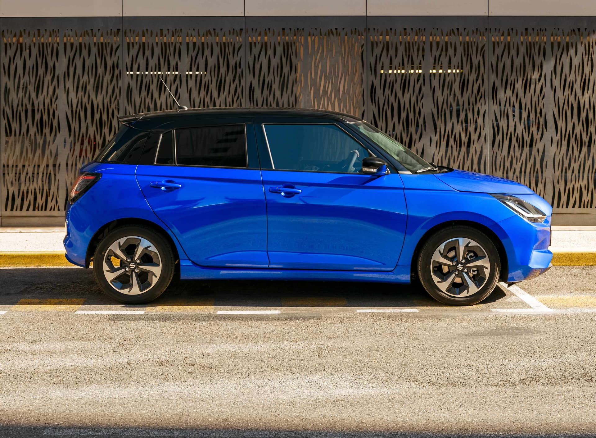 Blauer Swift in der Seitenansicht