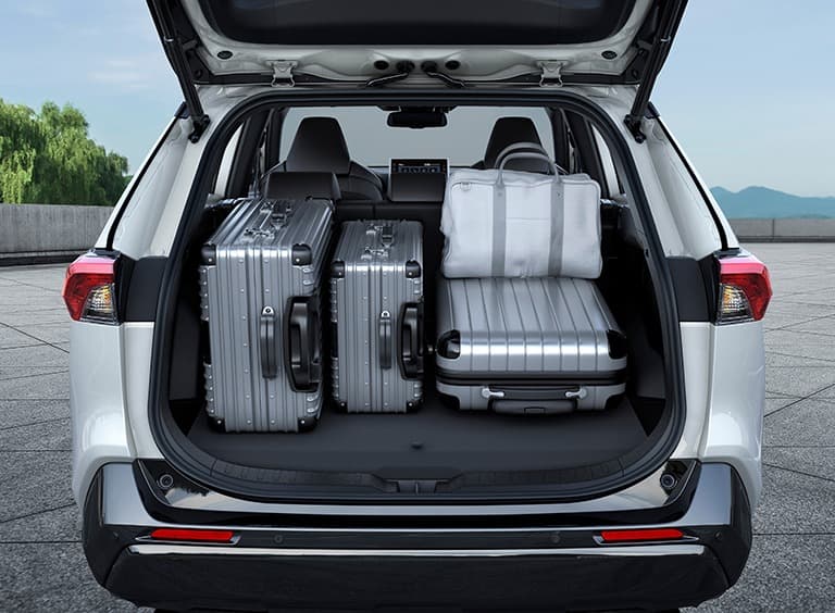 Abbildung zeigt Gepäckraum