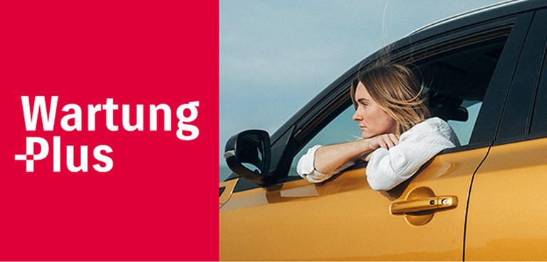 Das WartungPlus Angebot von Suzuki