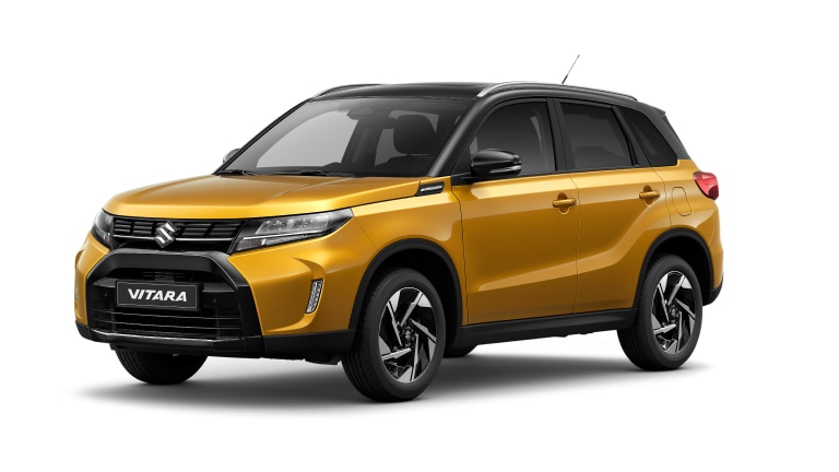 Der Suzuki S-Vitara