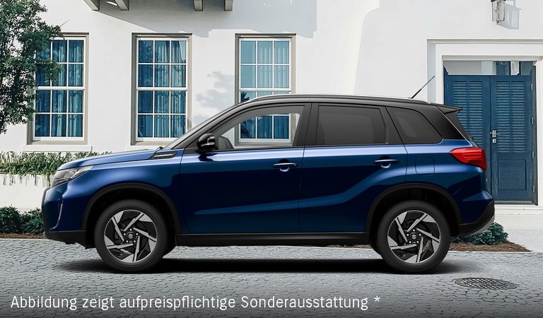 Der Suzuki Vitara